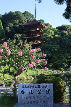 サルスベリと五重塔2
