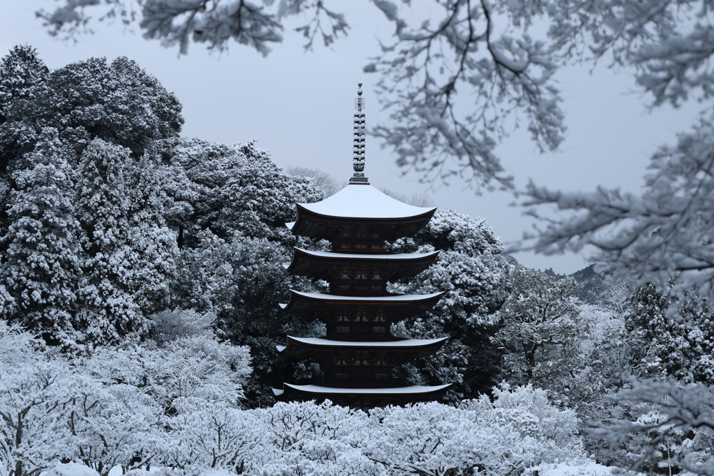 雪の五重塔8