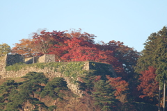 朝日を浴びた津和野城跡4