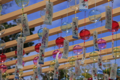 琴崎八幡宮風鈴祭り４