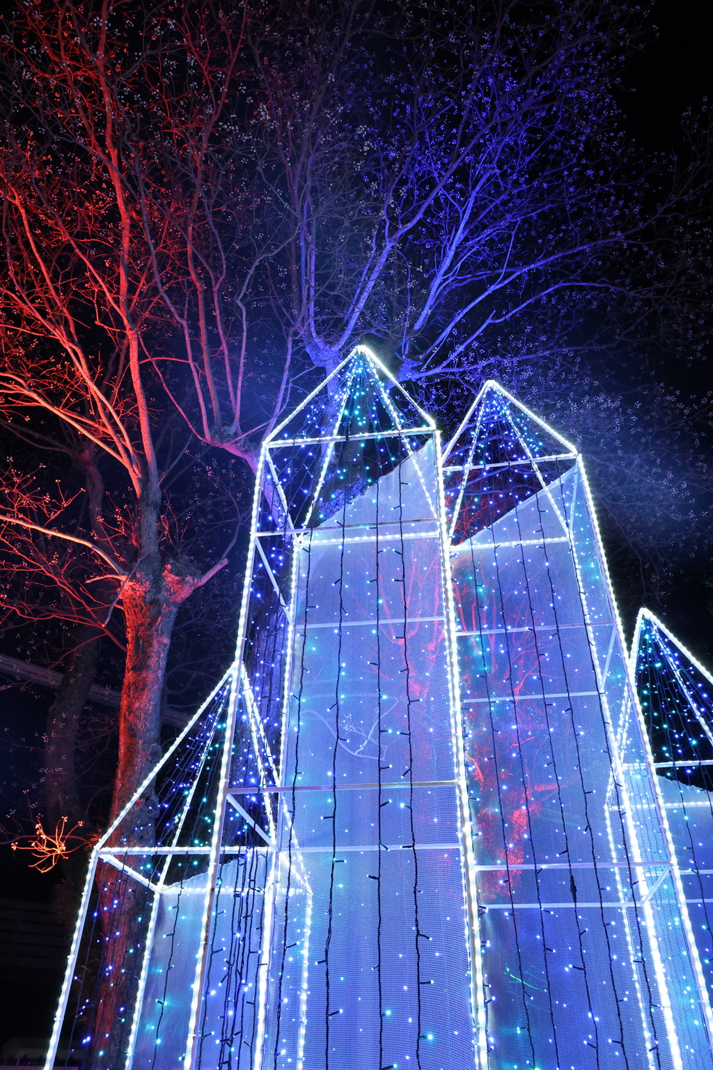 TOKIWAファンタジア2025-4