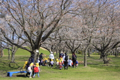 さあこれから花見