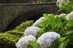 あじさいと眼鏡橋2