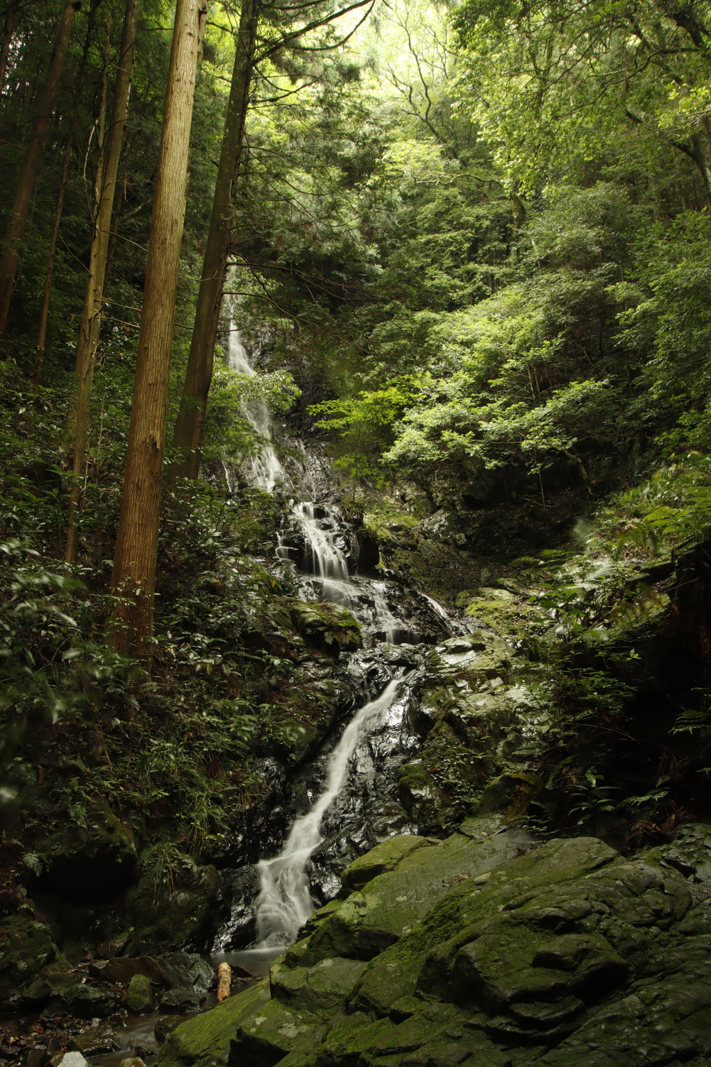 錦鶏の滝　女滝3