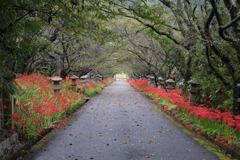 参道