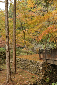 重源の郷の紅葉4