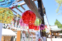 琴崎八幡宮の風鈴4