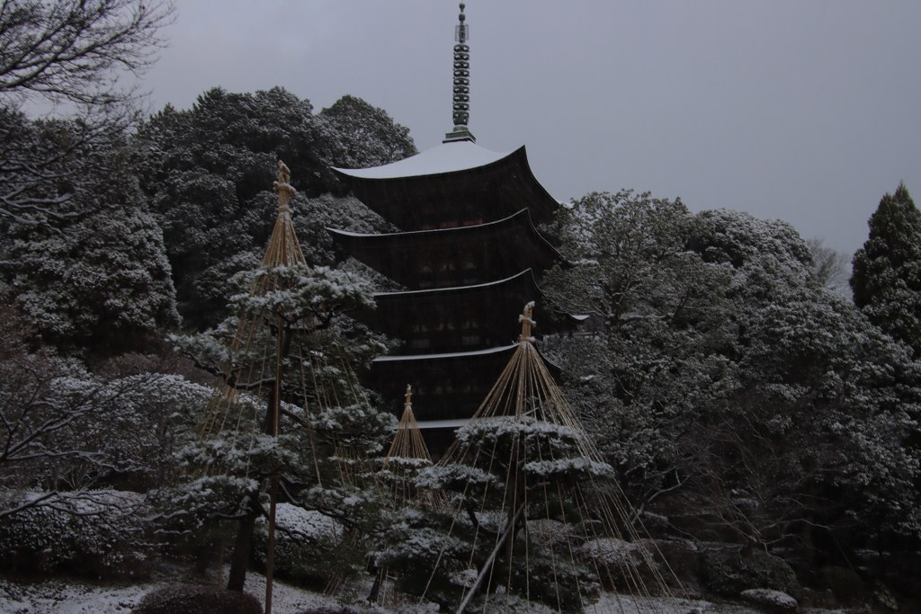 うっすら雪化粧5