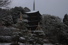 うっすら雪化粧5