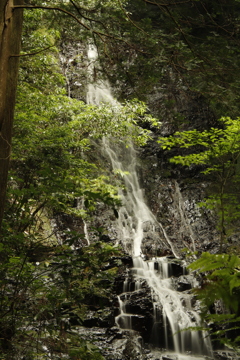 錦鶏の滝　女滝4