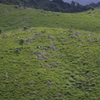 新緑のカルスト台地2