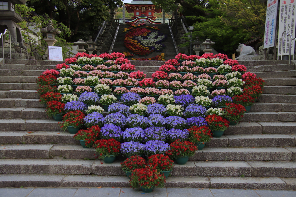 防府天満宮花回廊5