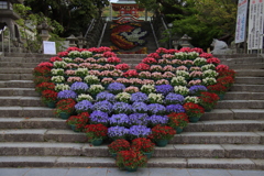 防府天満宮花回廊5