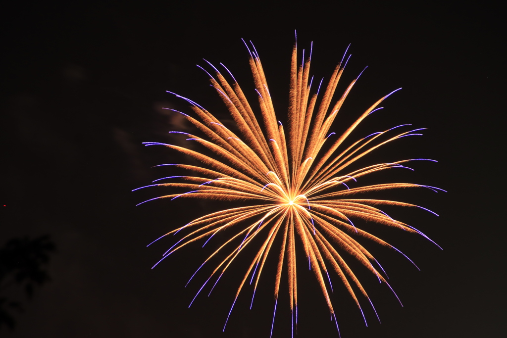 ふるさと思い出花火大会4