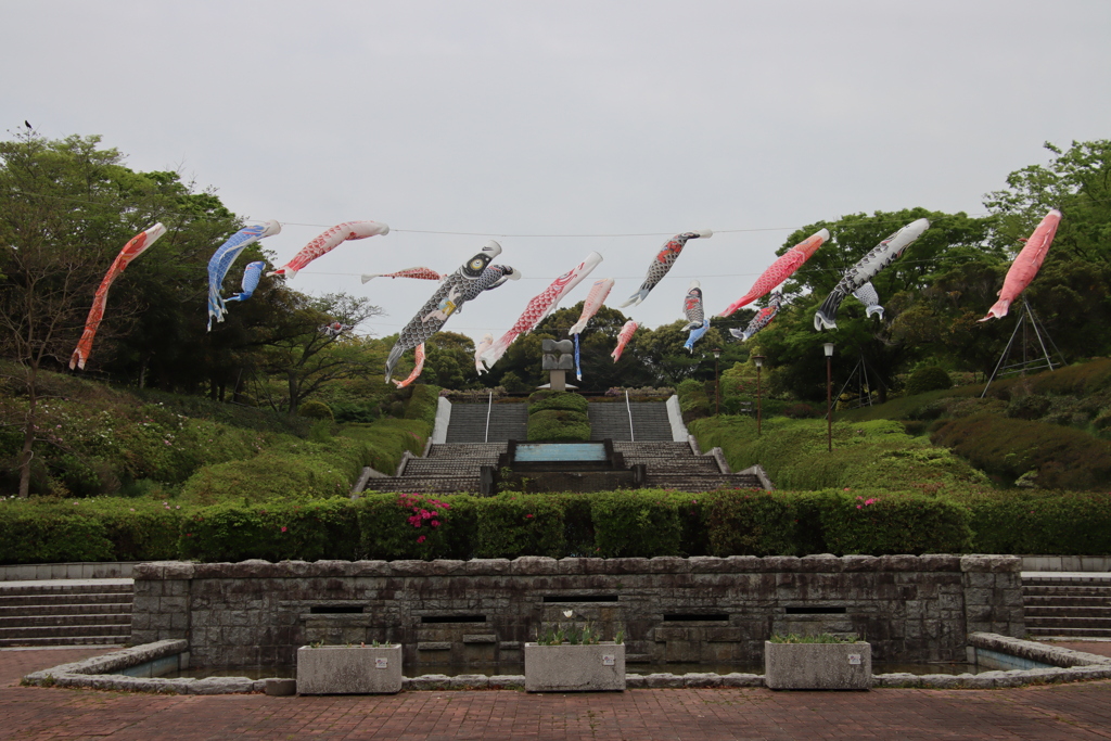 永源山公園の鯉のぼり