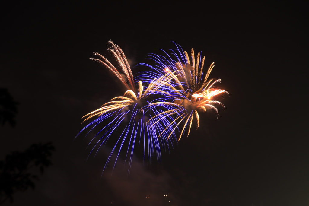 ふるさと思い出花火大会5