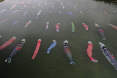 佐波川こいながし3