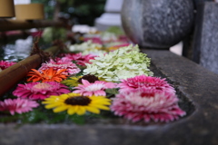 花手水