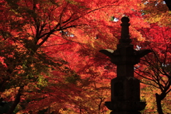 両足寺紅葉5
