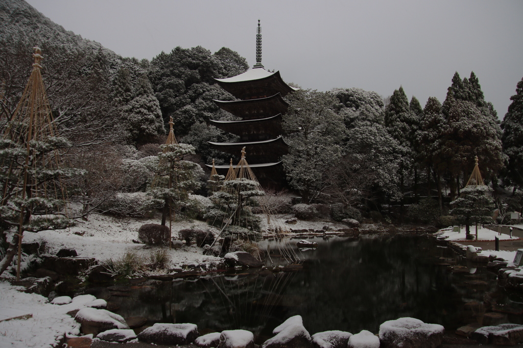 うっすら雪化粧3