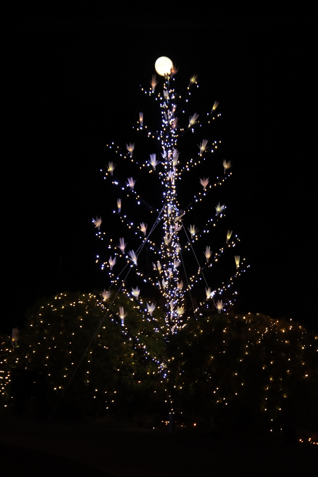 月とツリー