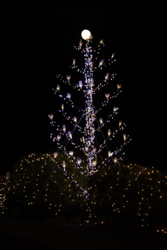 月とツリー