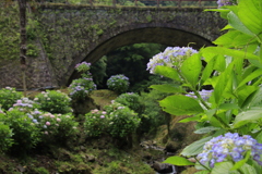 あじさいと眼鏡橋3