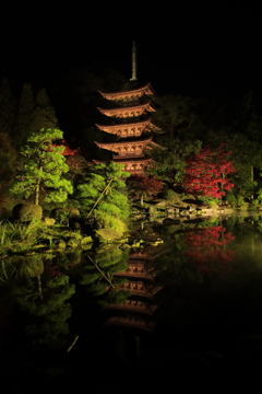 夜の瑠璃光寺五重の塔1