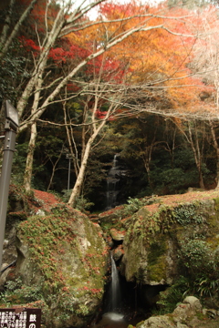 紅葉と滝