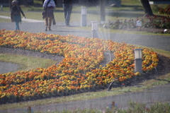 水まき