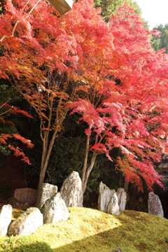 漢陽寺紅葉9