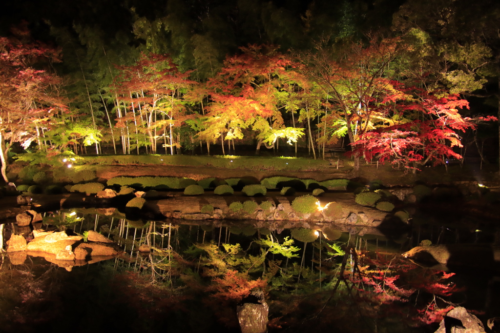 雪舟庭紅葉ライトアップ