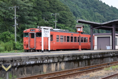 つわ乃