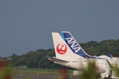 JAL,ANA
