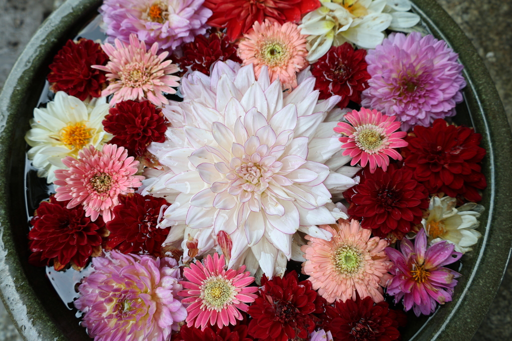 花手水6