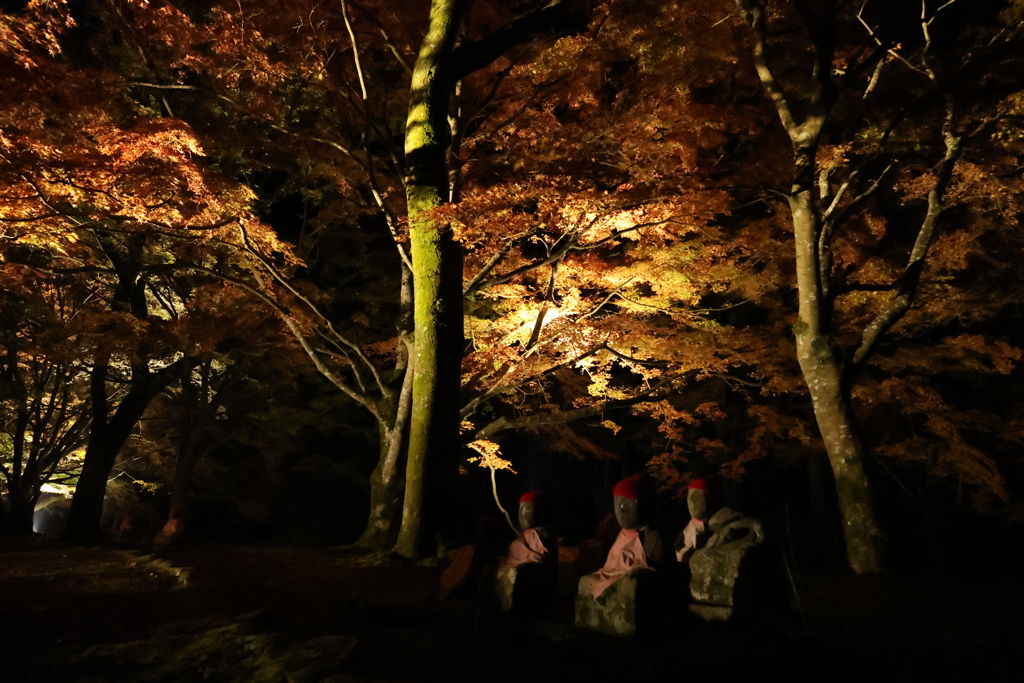 大寧寺ライトアップ5