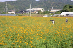 鳥を狙う人