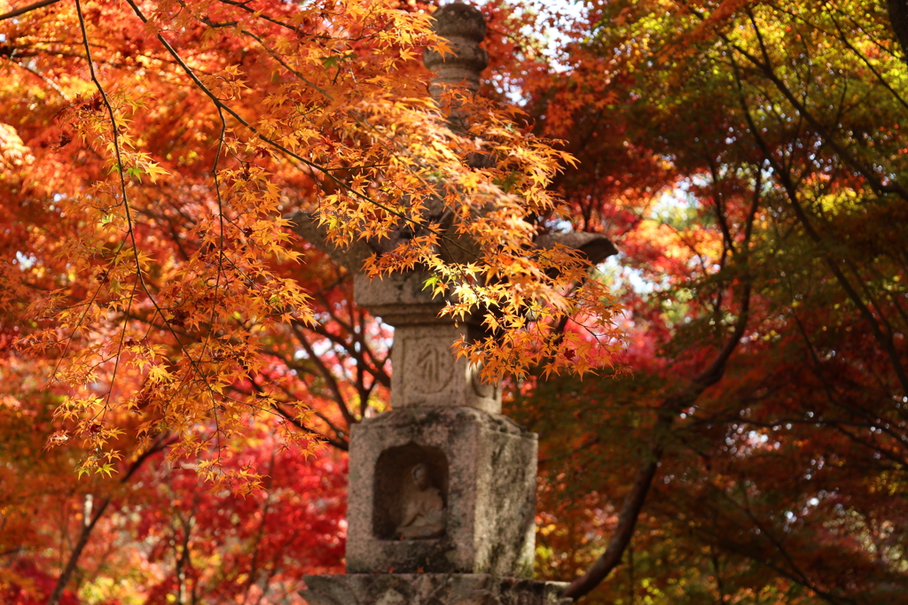 両足寺紅葉3