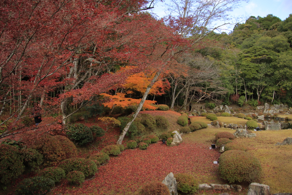 雪舟庭紅葉1