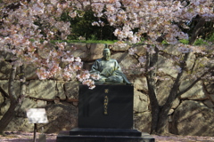 毛利公像と桜