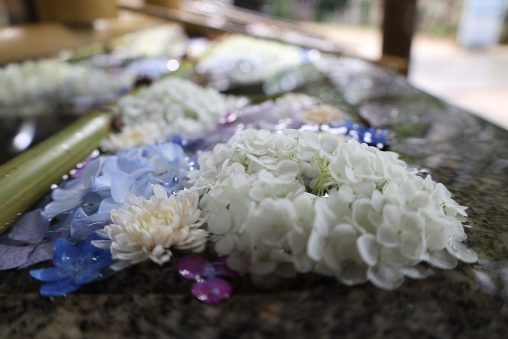 花手水4