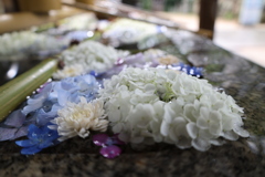 花手水4