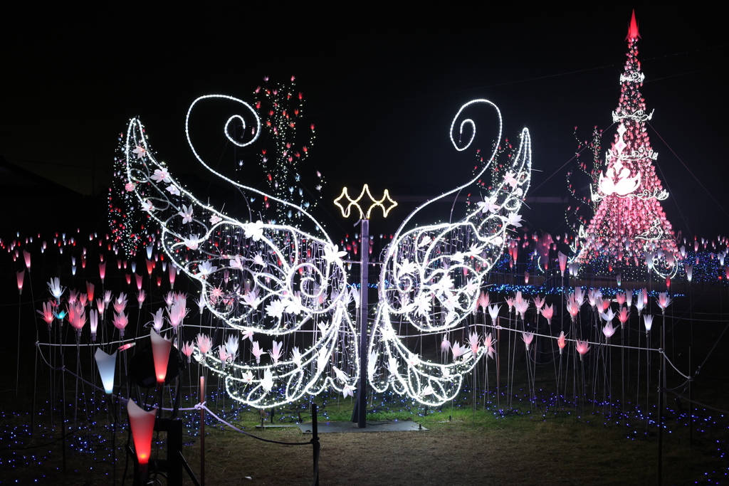 TOKIWAファンタジア2025