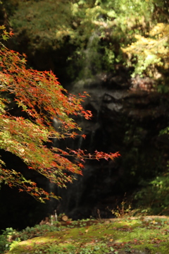 紅葉と滝