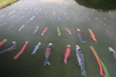 佐波川こいながし4