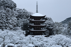 雪の五重塔9