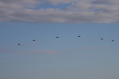 F-2オープニングフライト3