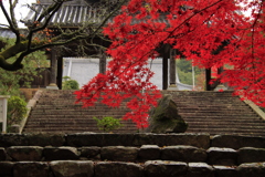 禅昌寺紅葉2