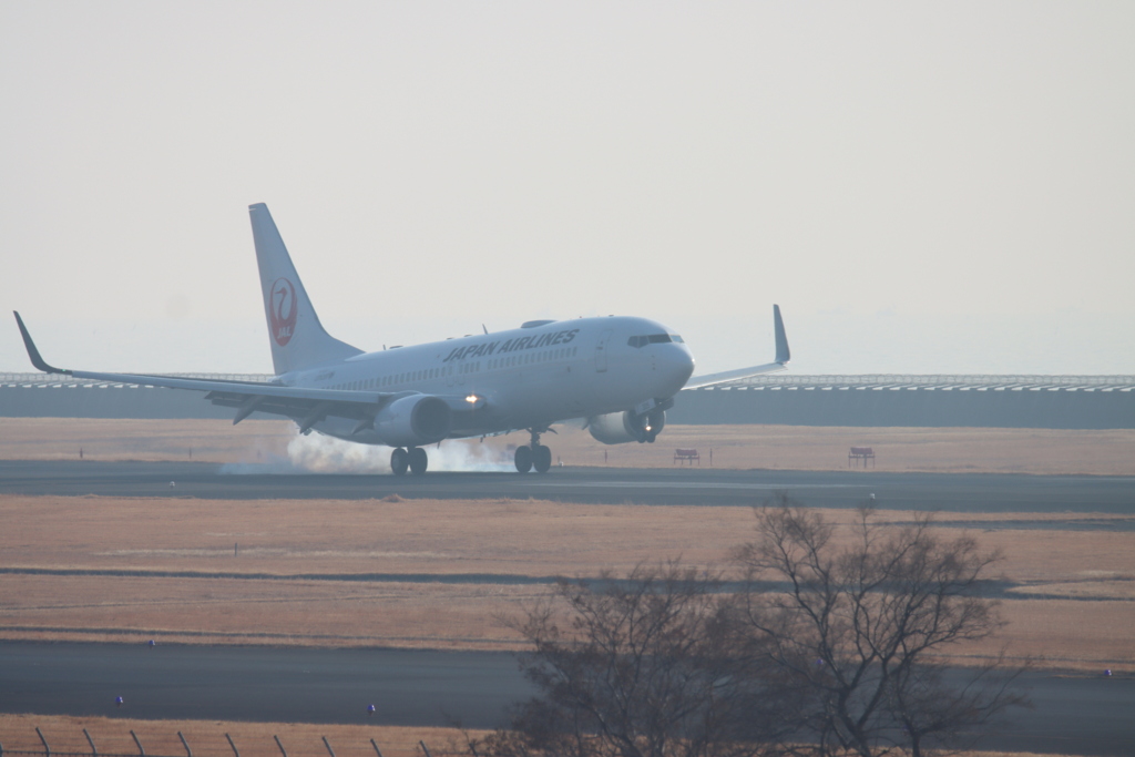 JAL機着地