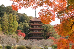瑠璃光寺の紅葉3